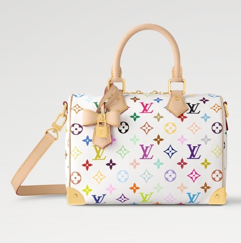 Сумка LOUIS VUITTON х TM Speedy 25