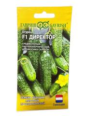 Огурец Директор F1 (Гавриш)
