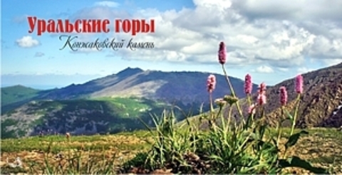 Урал Сувенир - Кружка Урал №0057 Конжаковский камень