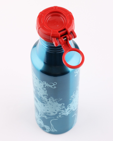 Фляжка из нержавеющей стали THERMOS Roho IS4560HZ6, 700 ml