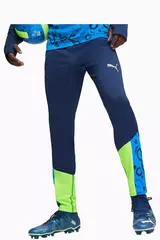 Штаны Puma individualCUP Training