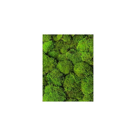 Мох стабилизированный Ballmoss, 0,09 кв. м