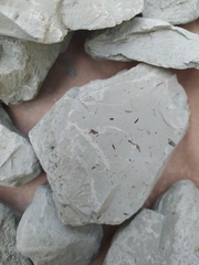 Каталог