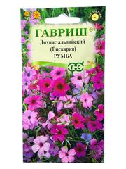 Вискария (Лихнис альпийский) Румба (Гавриш)