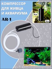 Зима