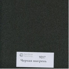 Входная металлическая дверь Нео Ясень 14 шагрень черная, молдинг черный (фурнитура ХРОМ блестящий)