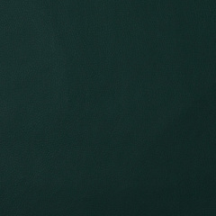 Искусственная кожа Nitro dark green (Нитро дарк грин)