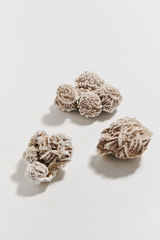 Роза пустыни