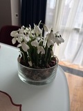 Подснежники из холодного фарфора ручной работы — фото 10