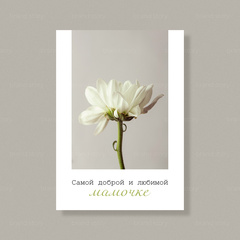 Открытка К26 (10 шт.) 7 х 10 см