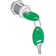Комплект ключей с замком EVlink Random (EVP1HLSR)
