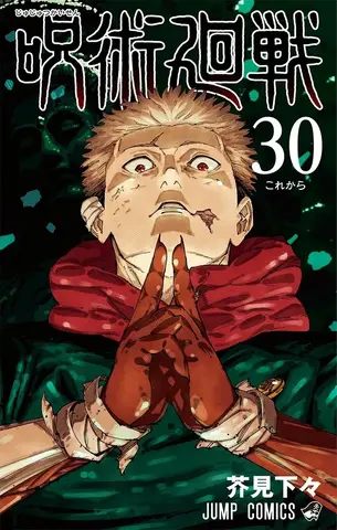 Jujutsu Kaisen Vol. 30 (На Японском языке)