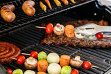 Газовый гриль Nexgrill Prime Puma 4B