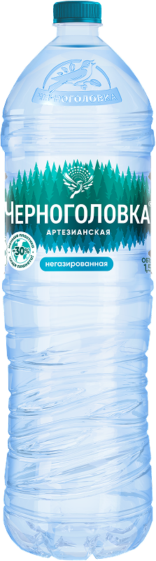 Черноголовка артезианская негазированная 1,5 л