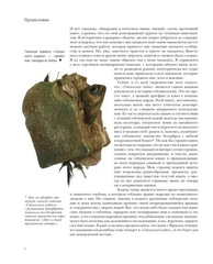 Гоблины! (Б/У)