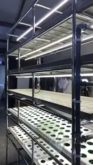 Многоярусный гидропонный стеллаж 5 ярусов B2500хД2100хШ600мм до 500 растений