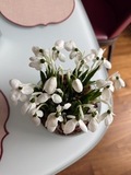 Пионы ручной работы из холодного фарфора — фото 7