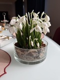 Подснежники из холодного фарфора ручной работы — фото 12