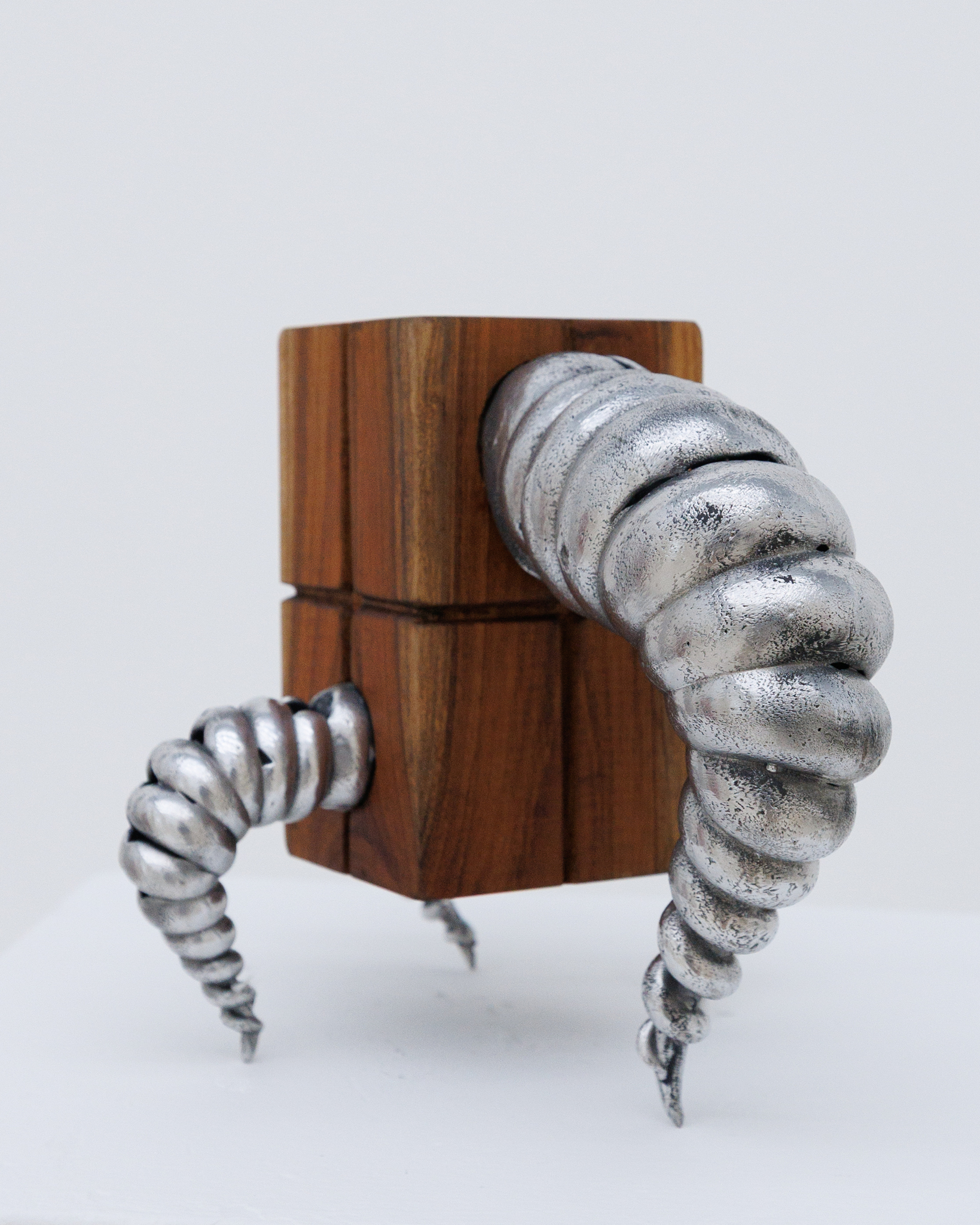 Wood Body Bug #8 из серии «Паранормальные явления»