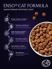 ENSO CF Perfect start сухой корм для котят, беременных и кормящих кошек (ягненок,тыква) 350 гр