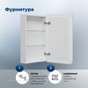 Aquanet 353775 Зеркальный шкаф Оптима (Optima) 50х80 LED антипар (353775)