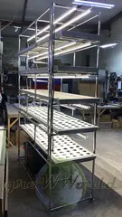 Многоярусный гидропонный стеллаж 5 ярусов B2500хД2100хШ600мм до 500 растений