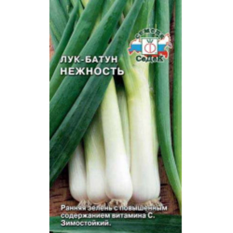 Семена Лук-Батун Нежность