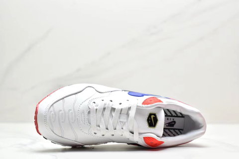 Nike Air Max 1 'Evolution Of Icons' 