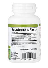 Natural Factors Растительные факторы® расторопша плюс, 90 капсул