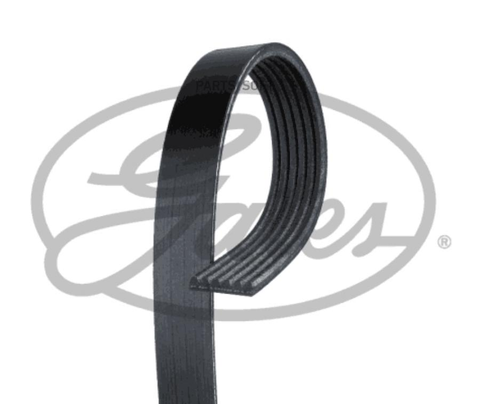 Ремень ручейковый GATES   6 PK  1255