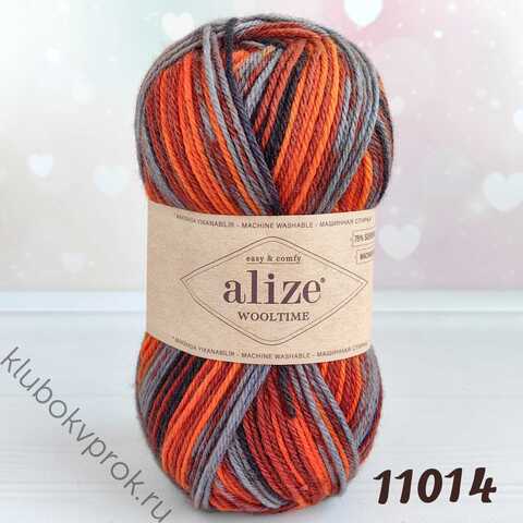 ALIZE WOOLTIME 11014, Мультиколор