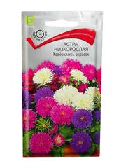 Астра Ковер смесь окрасок (Аэлита)