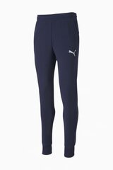 Штаны Puma teamGoal 23