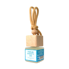 Ароматизатор в автомобиль Brand Perfume Molcule Exentric 05 8 мл