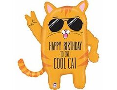 Шар Б Фигура, Классный кот, Happy birthday, 26