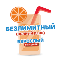 Взрослый билет на тариф "Безлимитный" (выходные дни) со скидкой 25%