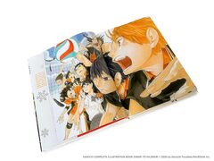 The Art of Haikyu! (На английском языке)