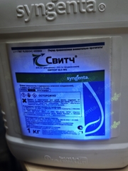 Свитч