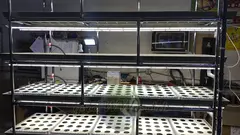 Многоярусный гидропонный стеллаж 5 ярусов B2500хД2100хШ600мм до 500 растений