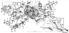Honda O-ring 81х2.2 91307-MGE-D01