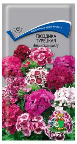 Семена Гвоздика Индийский ковер смесь