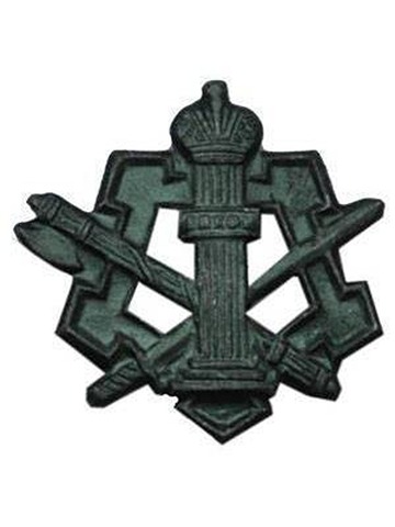 Эмблема петличная ФСИН металл полевая