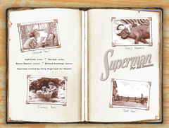 Superman For All Seasons (На английском языке)