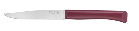 Нож столовый Opinel №125, полимерная ручка, нержавеющая сталь