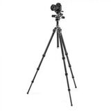 Штатив Gitzo GK2542-F3W Mountaineer 2 серии с 3D головой