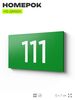 Номер на дверь квартиры 111, табличка на дверь для офиса, кабинета, аудитории, склада, зеленая 120х70 мм, Айдентика Технолоджи