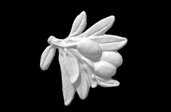 Силиконовый молд № 5013 Олива на ветке