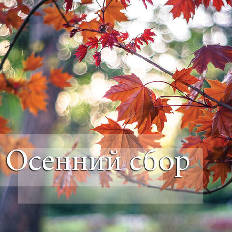 Благотворительность