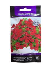 Петуния минимультифлора Пендолино Скарлет (Поиск)