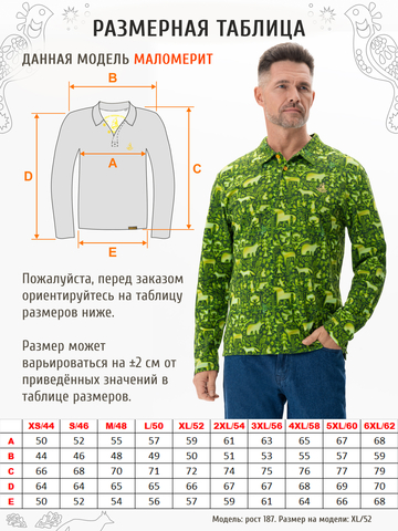 Поло с длинным рукавом «Весенний лес» мужское